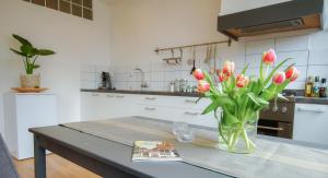 
A kitchen or kitchenette at Apartment Havenstraat
