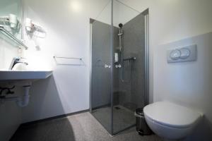 a bathroom with a shower and a toilet and a sink at Dæli Apartments in Víðidalstunga