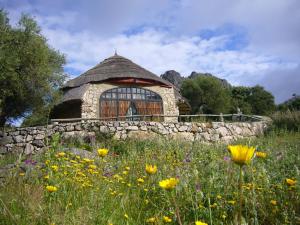 A garden outside Los Chozos