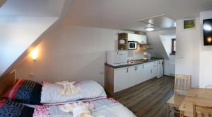 Kuchyň nebo kuchyňský kout v ubytování Apartments Stein