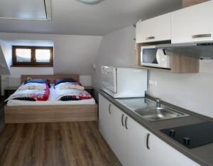 Kuchyň nebo kuchyňský kout v ubytování Apartments Stein