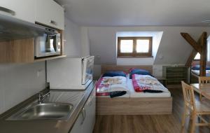 Kuchyň nebo kuchyňský kout v ubytování Apartments Stein