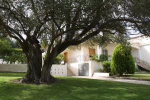 シラクーサにあるShort Lets Villa al Mare Siracusaの白家の前の大木
