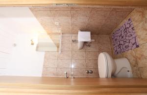a bathroom with a toilet in a room at Apartments Andelic in Vinišće +27 photos