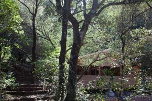a house in the middle of a forest of trees at Résidence Marina Livia in Serriera