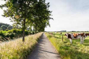 Billede fra billedgalleriet på B&B De Lievde i Lievegem