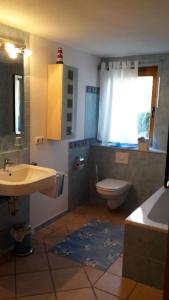 łazienka z umywalką, toaletą i oknem w obiekcie Ferienwohnung Lang w mieście Plankenfels