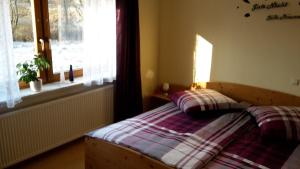 ein Schlafzimmer mit einem Bett mit einer karierten Decke und einem Fenster in der Unterkunft Ferienwohnung Lang in Plankenfels