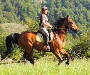 Horseback riding at the lodge or nearby