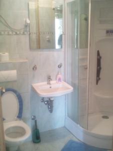 Koupelna v ubytování Apartments Bogunovic