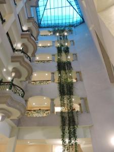 a staircase in a building with plants at Hotel Quinta Cesar in San Juan de los Lagos