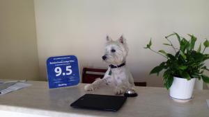 Billede fra billedgalleriet på Pinerose Resort i Bansko