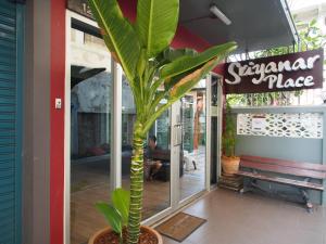 a plant in a pot in front of a store at Sriyanar Place in Bangkok