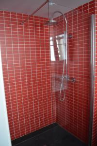 ジローナにあるNou del Teatre 20のガラスのドアが付いたシャワーを備えた赤いタイル張りのバスルーム