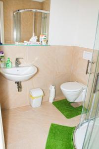 a bathroom with a sink and a toilet and a mirror at Beautiful Central Apartment Thámova in Prague