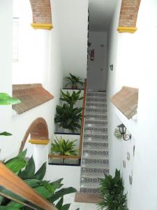 Fotografie z fotogalerie ubytování Apartamentos Los Arcos v destinaci El Bosque