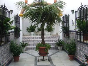 Zahrada ubytování Apartamentos Los Arcos