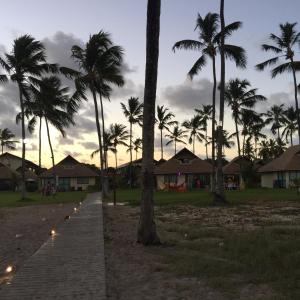 a group of palm trees and a walkway with lights at Flats no Carneiros Beach Resort in Tamandaré