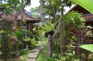 a garden in front of a house with plants at Villa Eva in Canggu