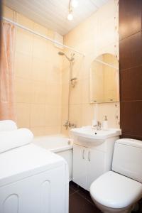 モスクワにあるInnDays on Belorusskayaのバスルーム(トイレ、洗面台、鏡付)