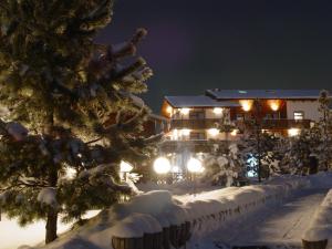 a house with lights in the snow at night at Sport Park Volen in Yakhroma