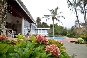 a house with pink flowers and a swimming pool at The Rawstornes in Greytown