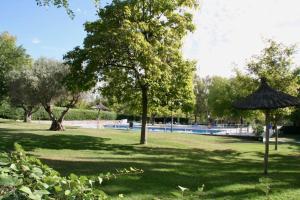 un parc avec une piscine, des arbres et un parasol dans l'établissement Modern B&B Somosaguas, à Somosaguas