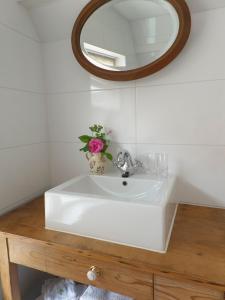 a bathroom sink with a mirror and a vase of flowers at Bij de Buren in Enkhuizen