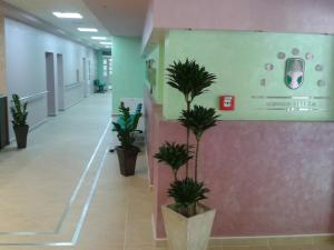 查查克Clinic for Rehabilitation Vujan的相册照片