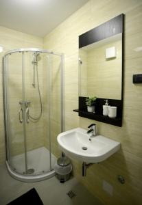 a bathroom with a shower and a sink and a mirror at A blok apartments A1 in Belgrade