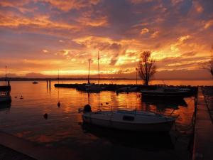 a group of boats in the water at sunset at Affittacamere Porticciolo in Castelnuovo del Garda