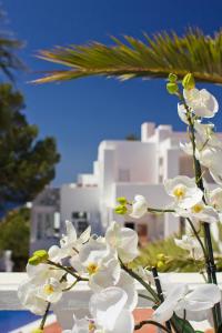 een bos witte bloemen voor een gebouw bij Hotel Village in Cala Vadella