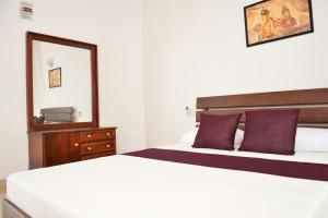 a bedroom with a bed with a mirror and a dresser at Tropical Garden in Negombo