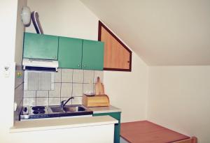 a small kitchen with green cabinets and a sink at Studio Silvana & Room Renata in Lumbarda +76 photos