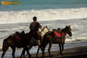 Imagen de la galería de Poor Man's Paradise Lodge, en Drake