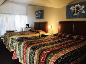 Warm Mineral Springs Motel tesisinde bir odada yatak veya yataklar