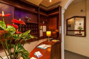 帕拉利亞卡泰里尼斯的住宿－綠洲公寓式酒店，配有书桌的房间,配有一盏灯和一棵植物