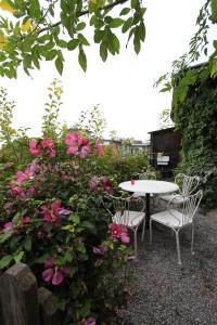 Zahrada ubytování Hotel Restaurant Schwert Thun