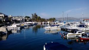 a bunch of boats are docked in a harbor at Marathon Eco Stay in Marathon