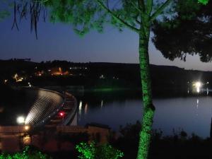 a view of a river at night with a tree at Marathon Eco Stay in Marathon