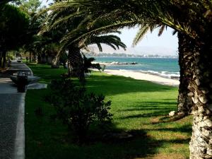 a beach with palm trees and the ocean at Marathon Eco Stay in Marathon