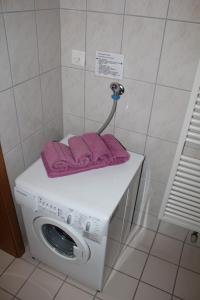 uma máquina de lavar roupa com uma toalha roxa em cima em Apartment Hulfteggpass em Mühlrüti