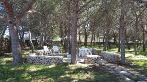 a patio with chairs and trees in a park at Villa con Pineta tra paese e mare in Favignana