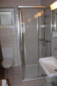 a bathroom with a shower and a toilet and a sink at Apartment Hulfteggpass in Mühlrüti