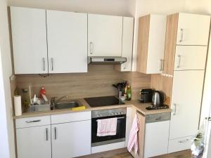 Kuchyň nebo kuchyňský kout v ubytování Villa Traun