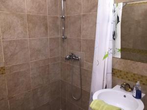 uma casa de banho com um chuveiro e um lavatório. em Elvis Guesthouse em Budapeste