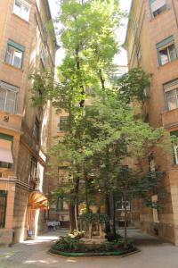 un grande albero di fronte a un edificio di Elvis Guesthouse a Budapest