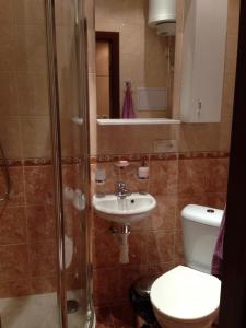 カルロヴィ・ヴァリにあるJurincom apartments Masarykaのバスルーム(トイレ、洗面台、シャワー付)