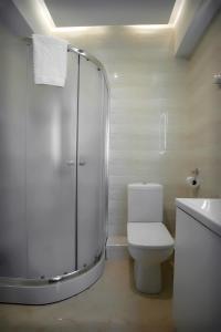 a bathroom with a shower and a toilet and a sink at Mildom Premium Hotel in Almaty +50 photos