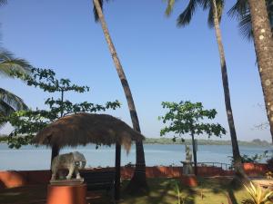 KalyānpurParadise Lagoon的相册照片